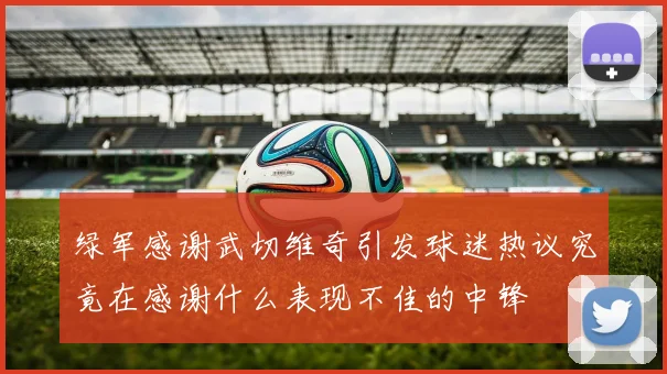 绿军感谢武切维奇引发球迷热议究竟在感谢什么表现不佳的中锋